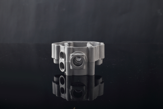 Lightweight Aluminium Alloy Forging Parts For Mechanical Corrosion Resistant