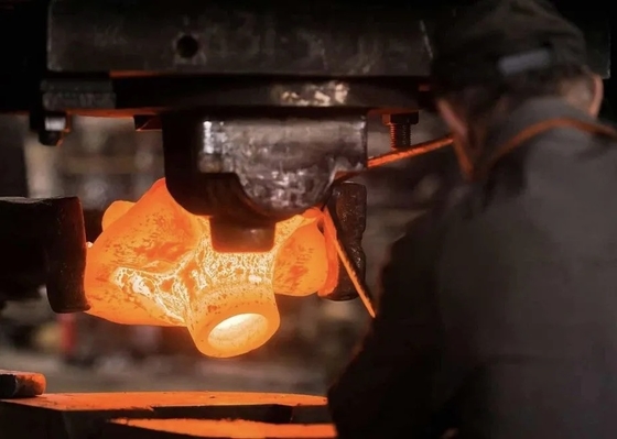 Custom 6061 Forged Aluminum OEM Service GB ASTM AISI DIN BS Aluminium Forging